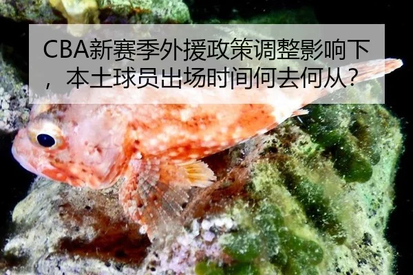 xin-sai-ji-wai-yuan-zheng-ce-tiao-zheng-ying-xiang-xia-ben-tu-qiu-yuan-chu-chang-shi-jian-he-qu-he-cong-3-479.jpg