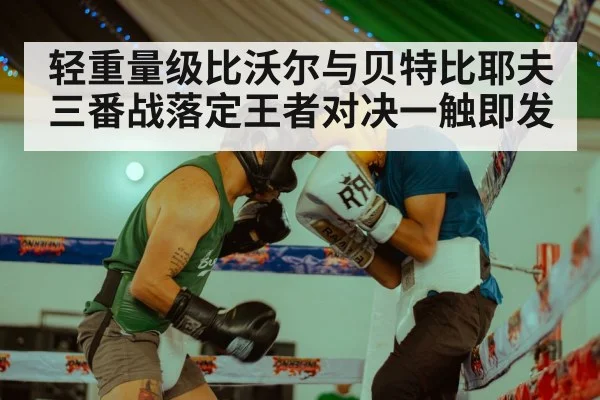 轻重量级比沃尔与贝特比耶夫三番战落定王者对决一触即发