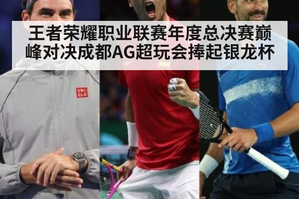 王者荣耀职业联赛年度总决赛巅峰对决成都AG超玩会捧起银龙杯