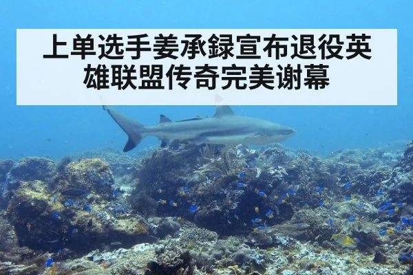 上单选手姜承録宣布退役英雄联盟传奇完美谢幕